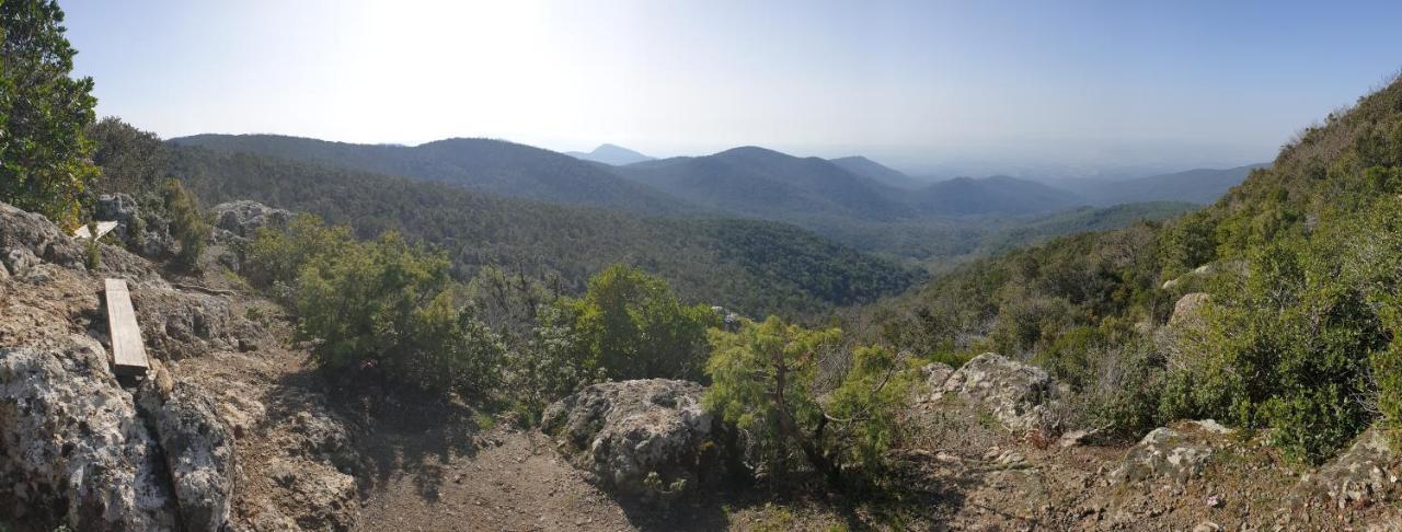 Vila La Ripa Del Drago Bibbona Exteriér fotografie