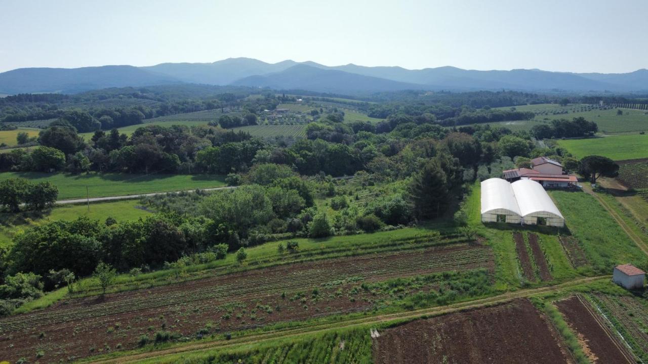 Vila La Ripa Del Drago Bibbona Exteriér fotografie